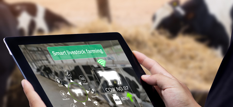 My Biosecurity | Machine Vision