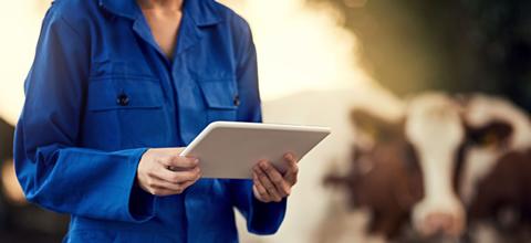 My Biosecurity | Digital Data Collection